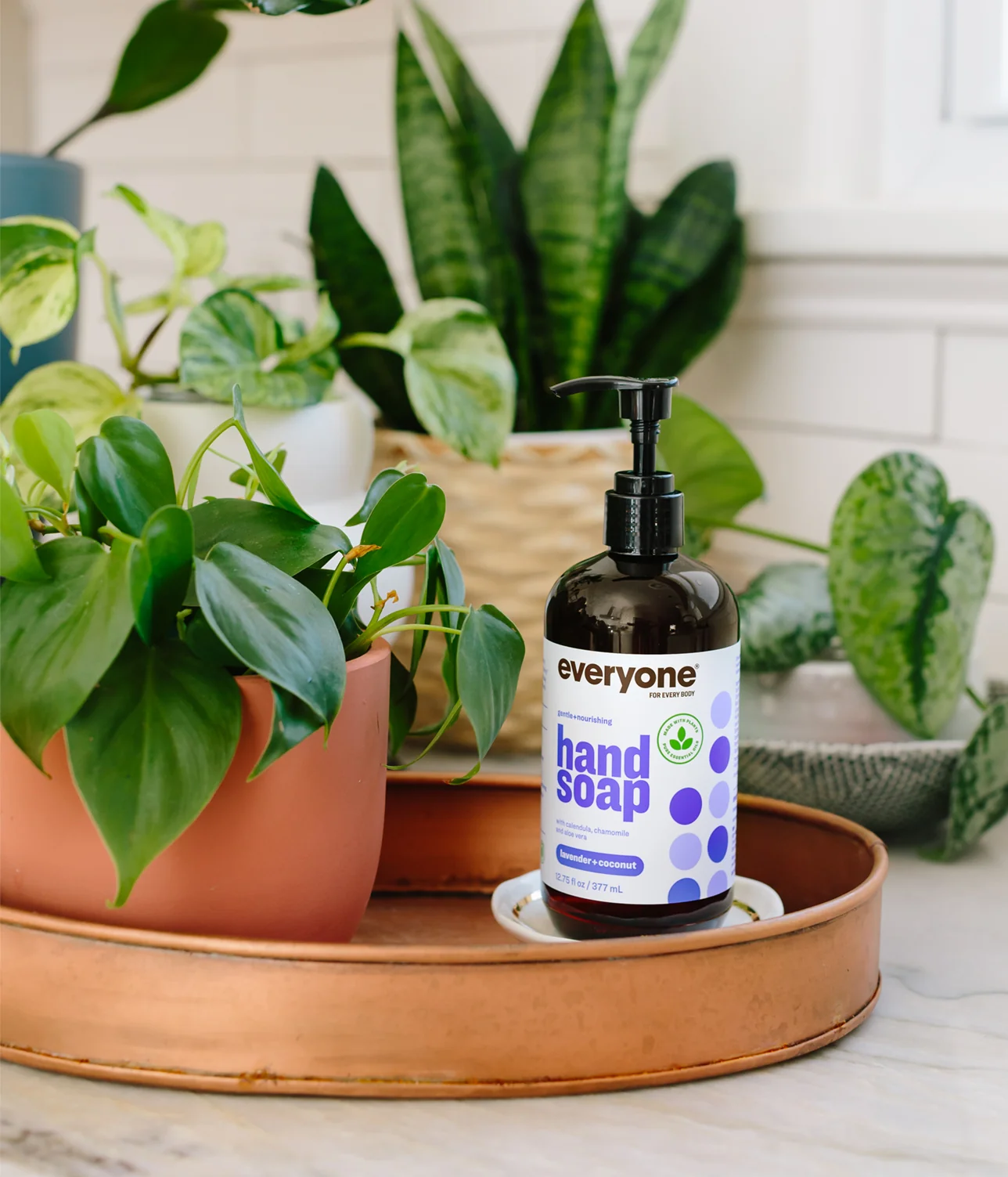 Lavender + Coconut Hand Soap - Image 4